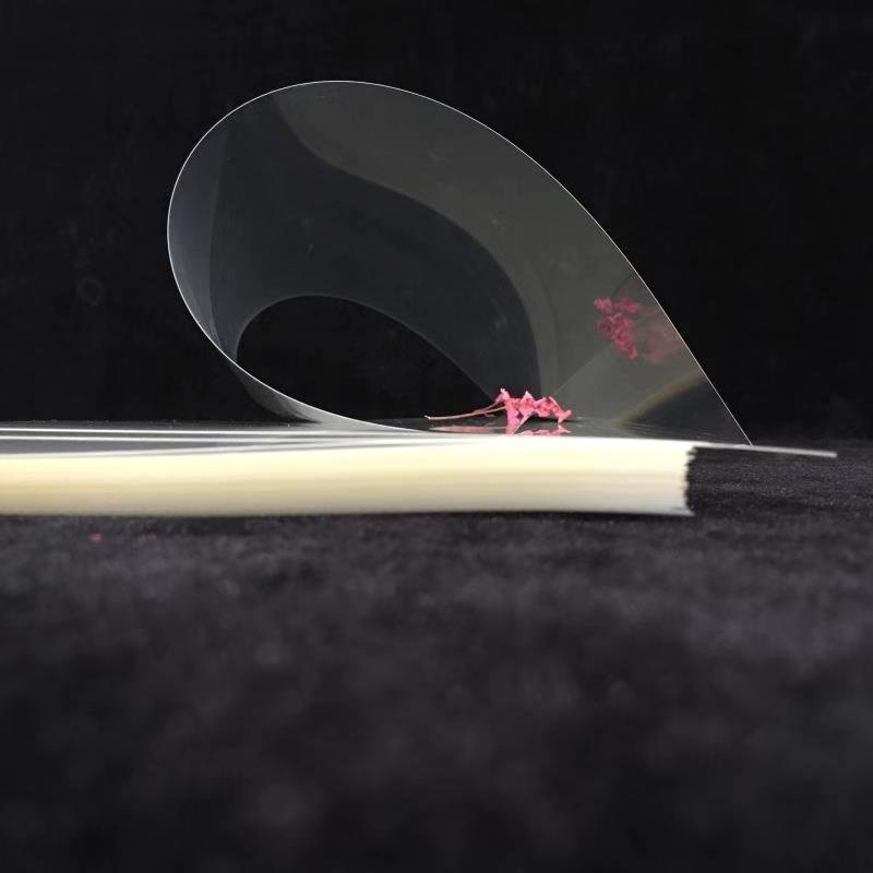 
                Clear Pet Inkjet Film for Screen Printing Plate-Making 13 X 19 Inch
            