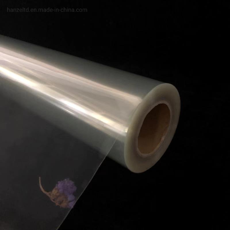 
                Transparent Film Roll for Screen Printing
            