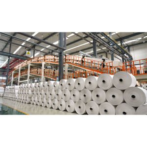 
                Uncoated White Color Woodfree Offset Bond Paper Plotter Paper in Rolls
            