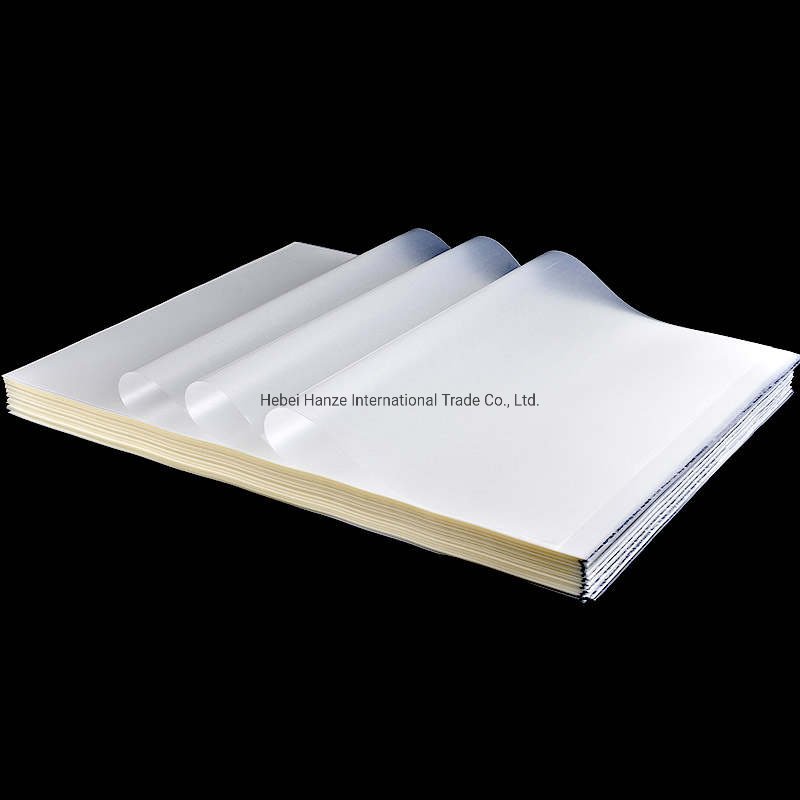 
                Dtf Pet Film Heat Transfer Film A3 A4 Sheets Roll for Printing
            